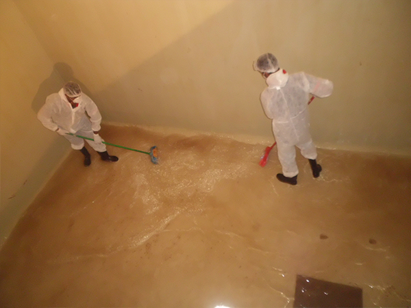 green-horizon-post-flood-decontamination-deep-cleaning-disinfection-specialists-dubai-uae